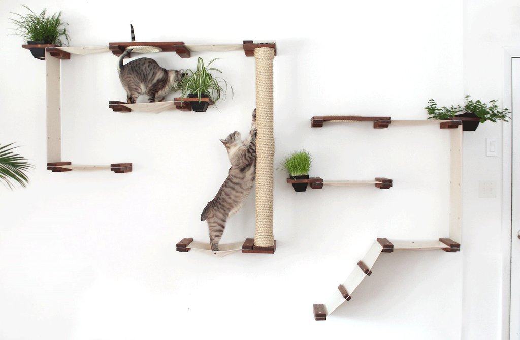 Cat climbing top wall ikea