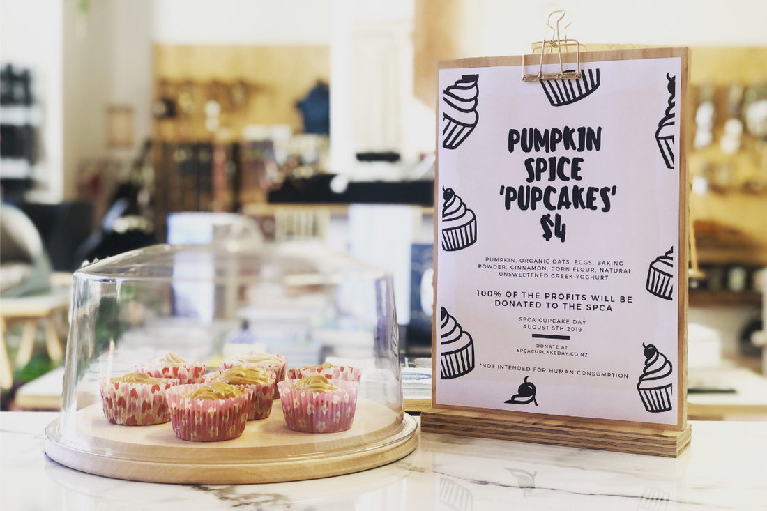SPCA Cupcake Day 2018 | Pupcakes | Smack Bang Blog