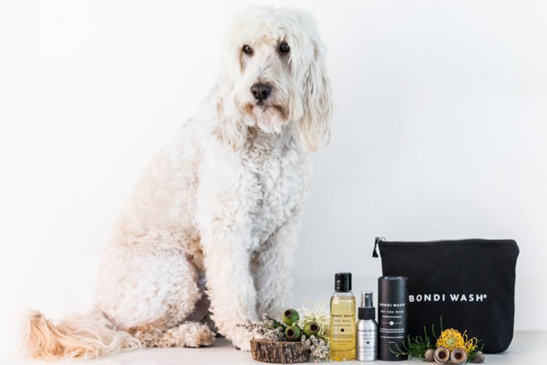 Bondi Was Dog Wash Range | Smack Bang Blog
