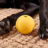 Beco | Fetch Ball