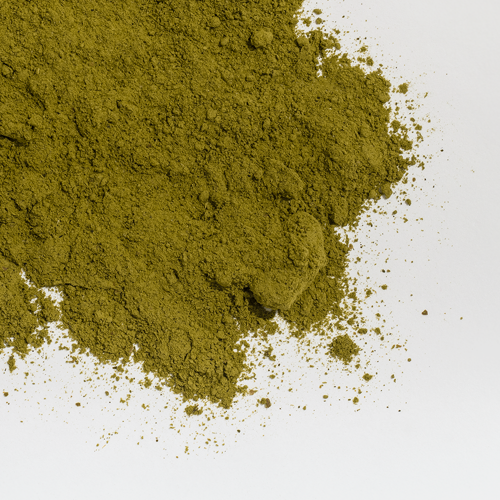 Coastal Canine Joint Boost Powder | Smack Bang