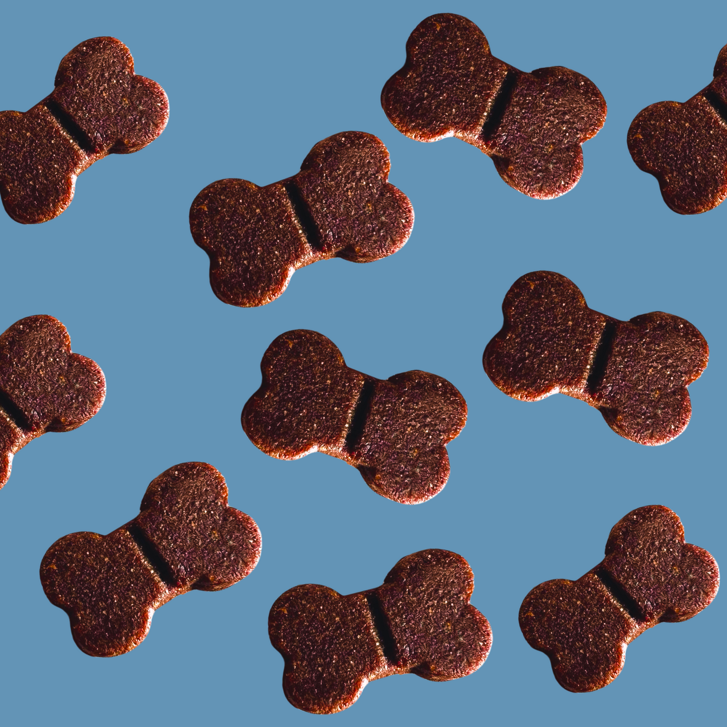 Coastal Canine | Joint Chews
