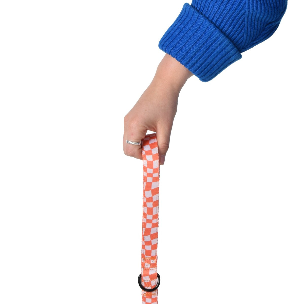 Wolves of Wellington Benji Standard Dog Lead | Smack Bang
