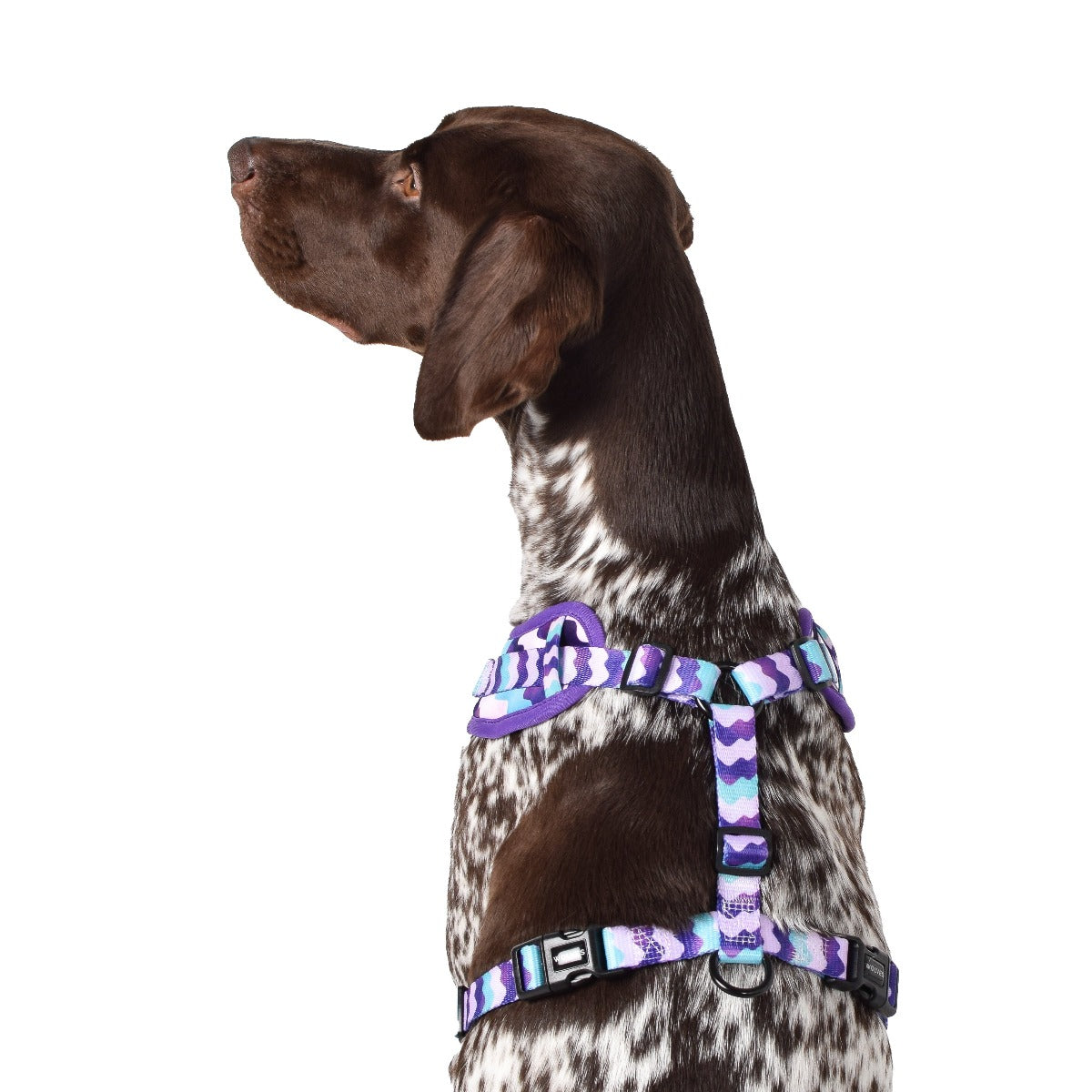 Wolves of Wellington Sulley Mesh Harness 2.0 | Smack Bang