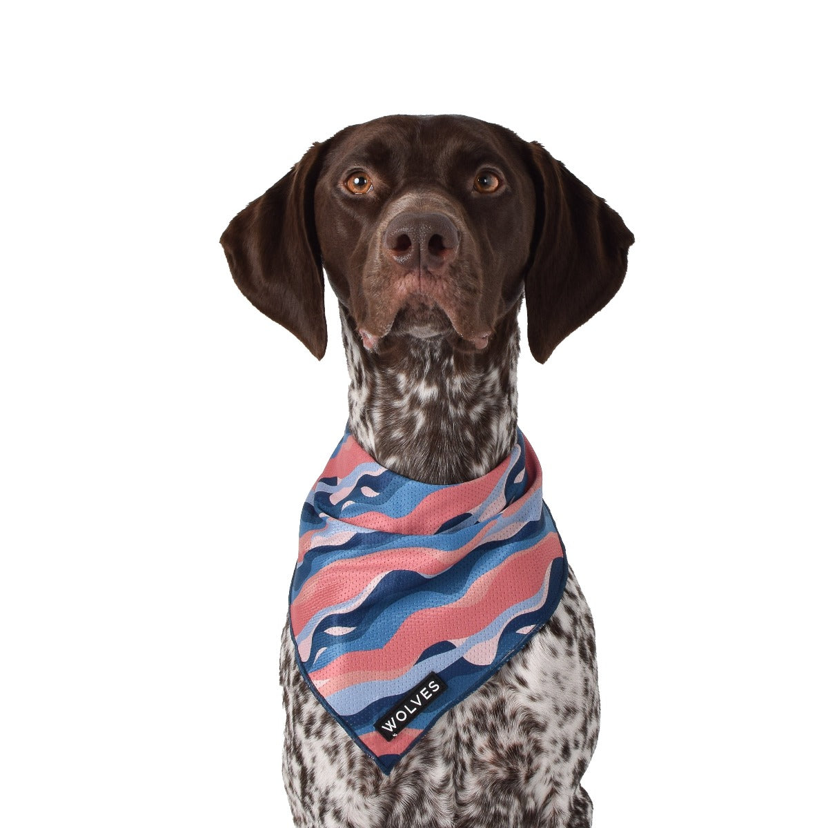 Wolves of Wellington Dusk Mesh Bandana | Smack Bang