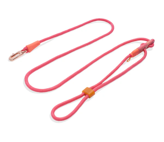 Zee.Dog | Hands-Free Leash Gazelle
