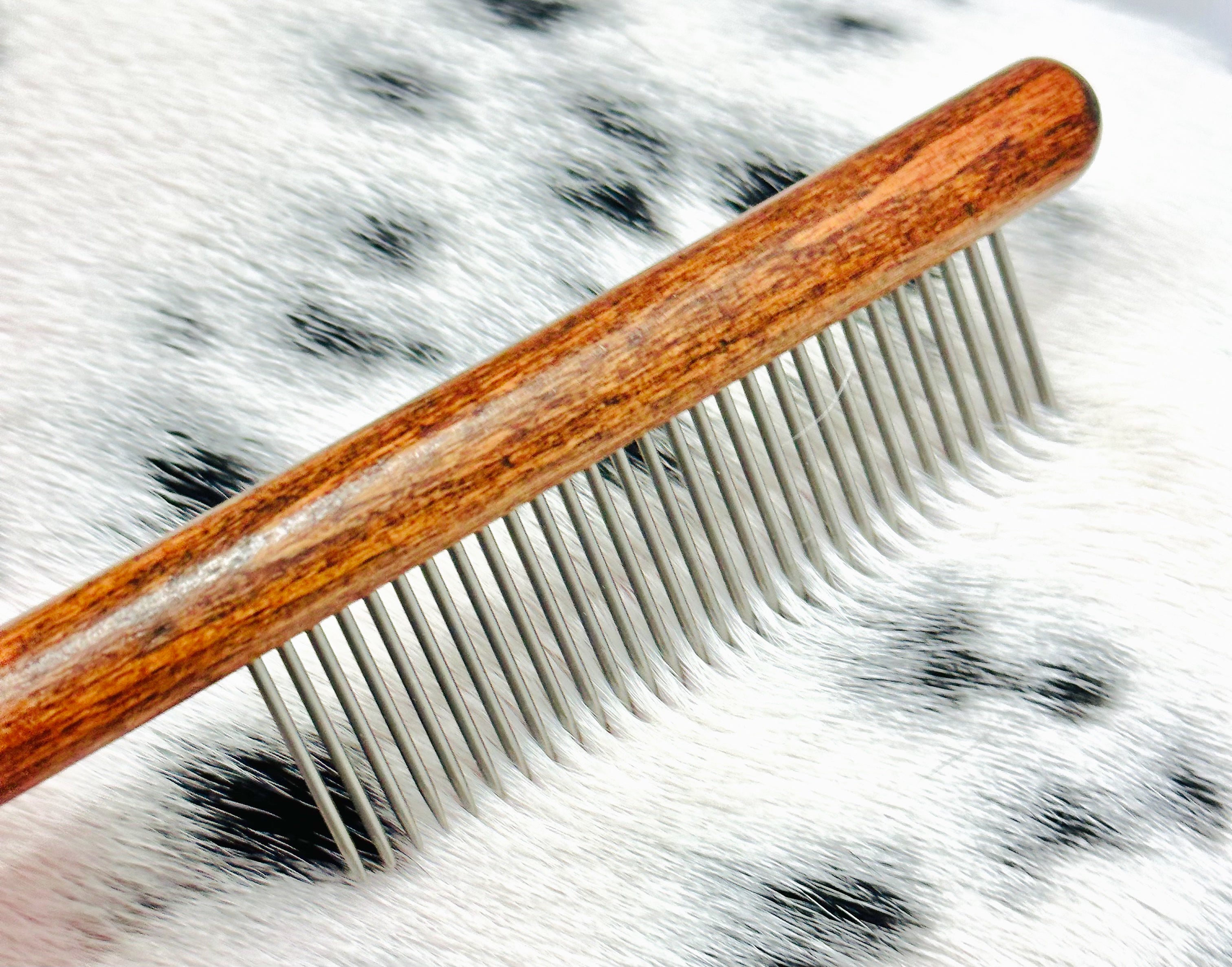 Hairy Dog Comb | Smack Bang