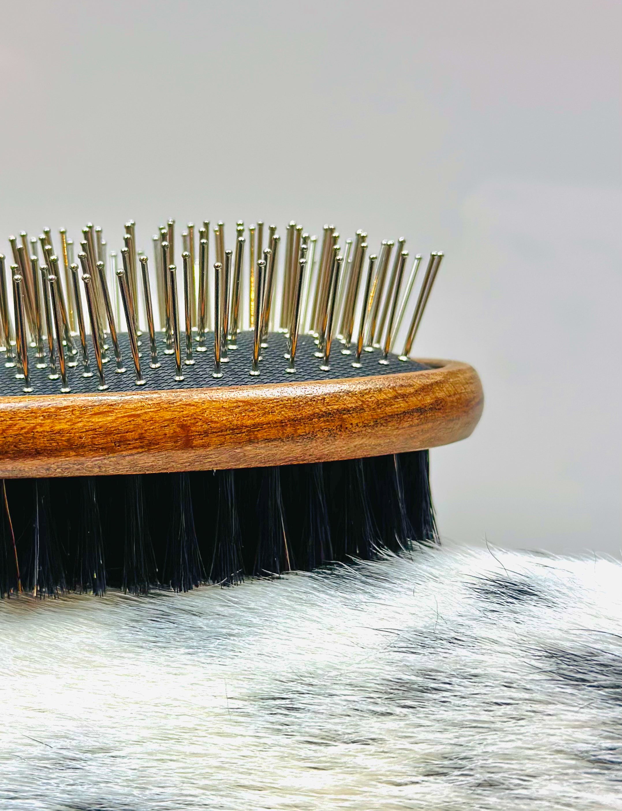 Hairy Dog Brush | Smack Bang