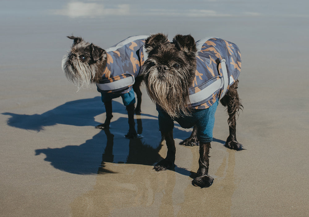 Mr Soft Top Blue Camo Waterproof Dog Coat | Smack Bang