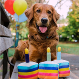 P.L.A.Y. | Party Time Bone Appetite Cake