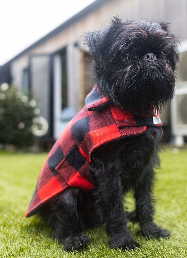 Mr Soft Top Red & Black Check Lined Dog Coat | Smack Bang