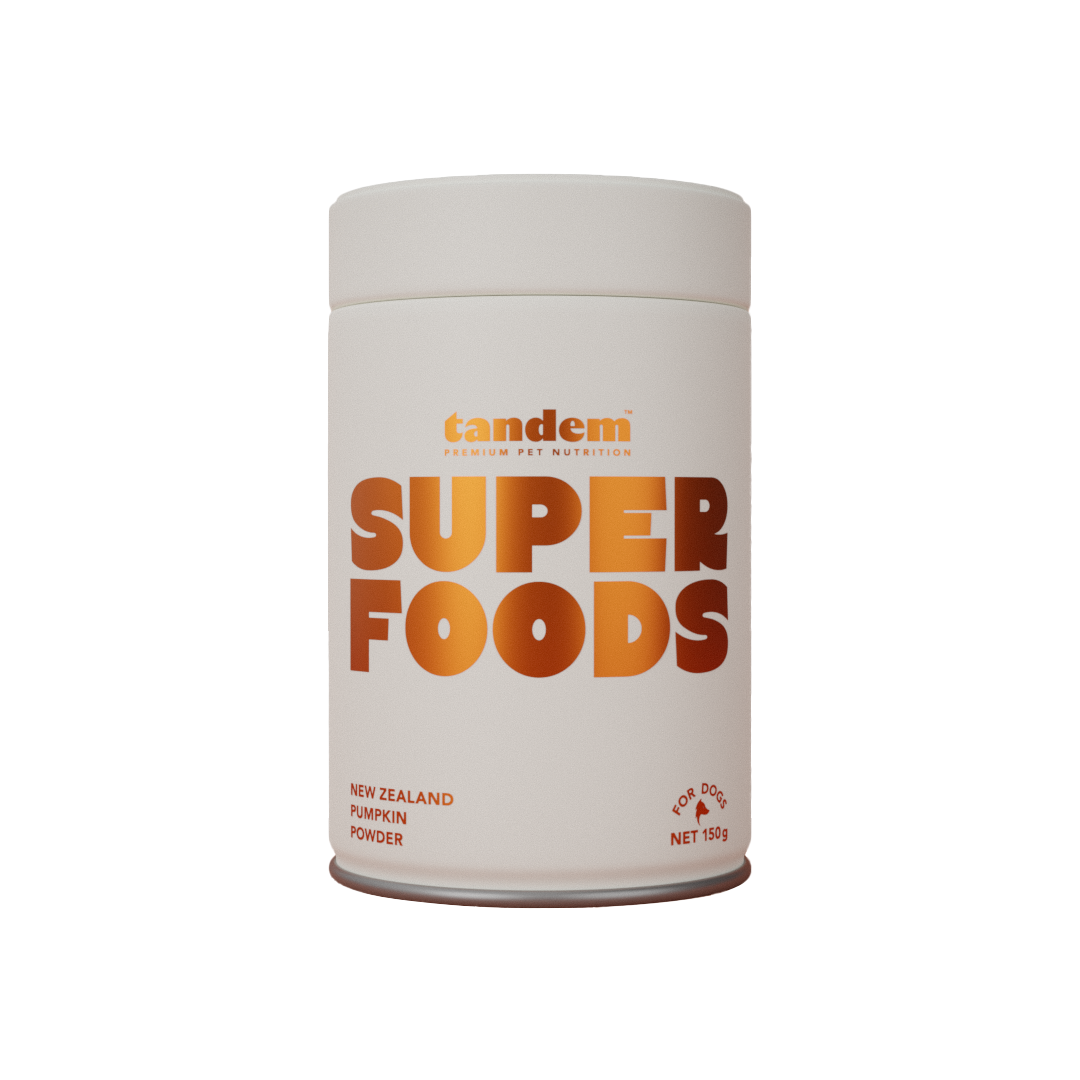 Tandem | Pumpkin Powder