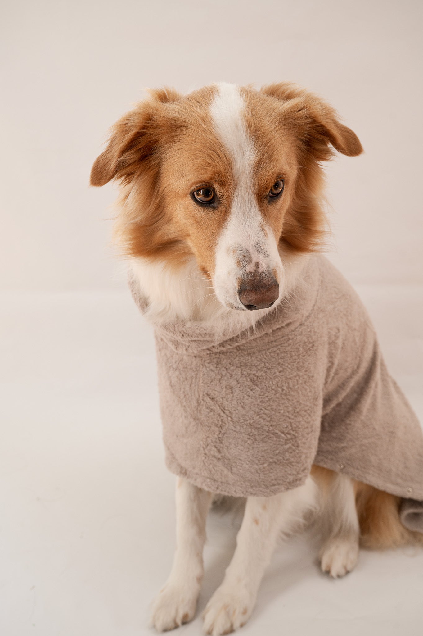 Your Best Buddy | The Dry Buddy