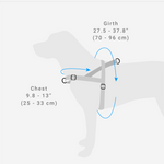 Zee Dog Harness Size Guide | Smack Bang