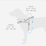 Zee Dog Harness Size Guide | Smack Bang