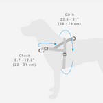Zee Dog Harness Size Guide | Smack Bang