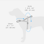 Zee Dog Harness Size Guide | Smack Bang