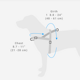 Zee Dog Harness Size Guide | Smack Bang