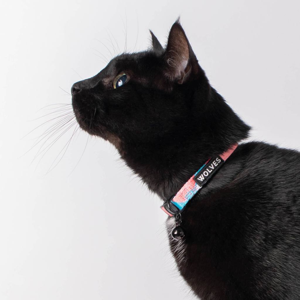 Wolves of Wellington Floss Cat Collar | Smack Bang