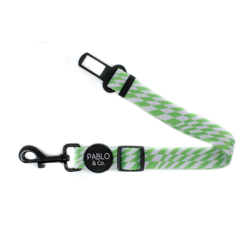 Pablo & Co Green Check Check Dog Seat Belt | Smack Bang