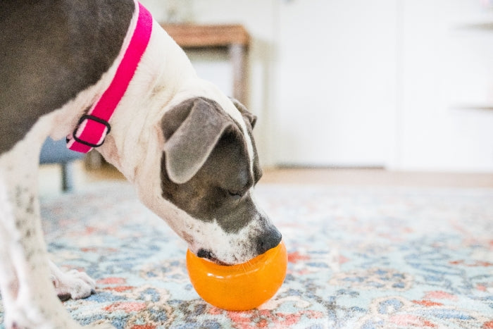 Planet Dog Orbee Tuff Snoop Treat Puzzle Dog Toy | Smack Bang