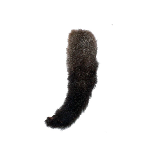 Possum Tail Cat & Dog Toy | Smack Bang