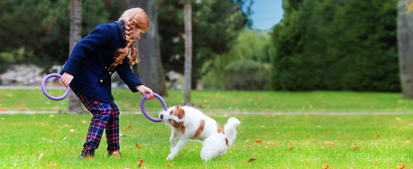 Puller Collar Mini Dog Training Rings | Smack Bang