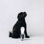 Thirsty Dog Drink Bottle Brilliant White | Smack Bang