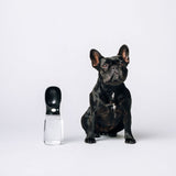 Thirsty Dog Drink Bottle Jet Black Frenchie | Smack Bang