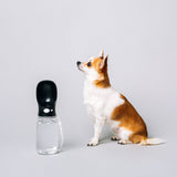 Thirsty Dog Drink Bottle Jet Black | Smack Bang