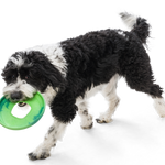 West Paw Seaflex Sailz Dog Frisbee | Smack Bang