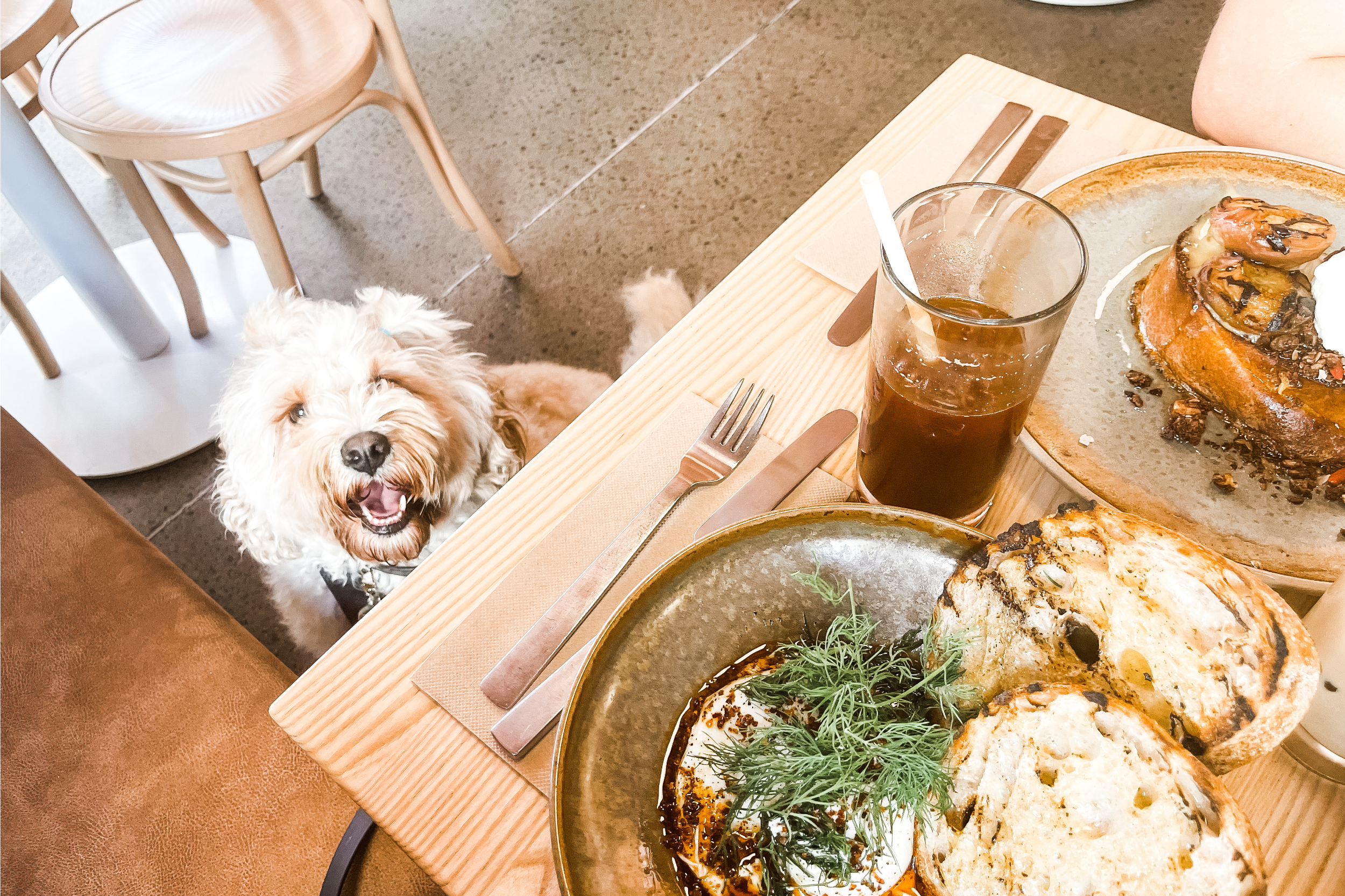 August Eatery