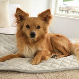 Your Best Buddy | Every Buddy Mat