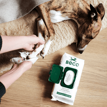 Beco Bamboo Coconut Dog Wipes | Smack Bang