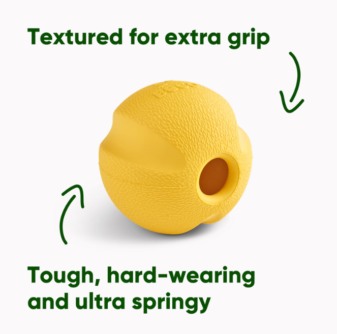 Beco | Fetch Ball