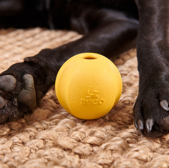 Beco | Fetch Ball