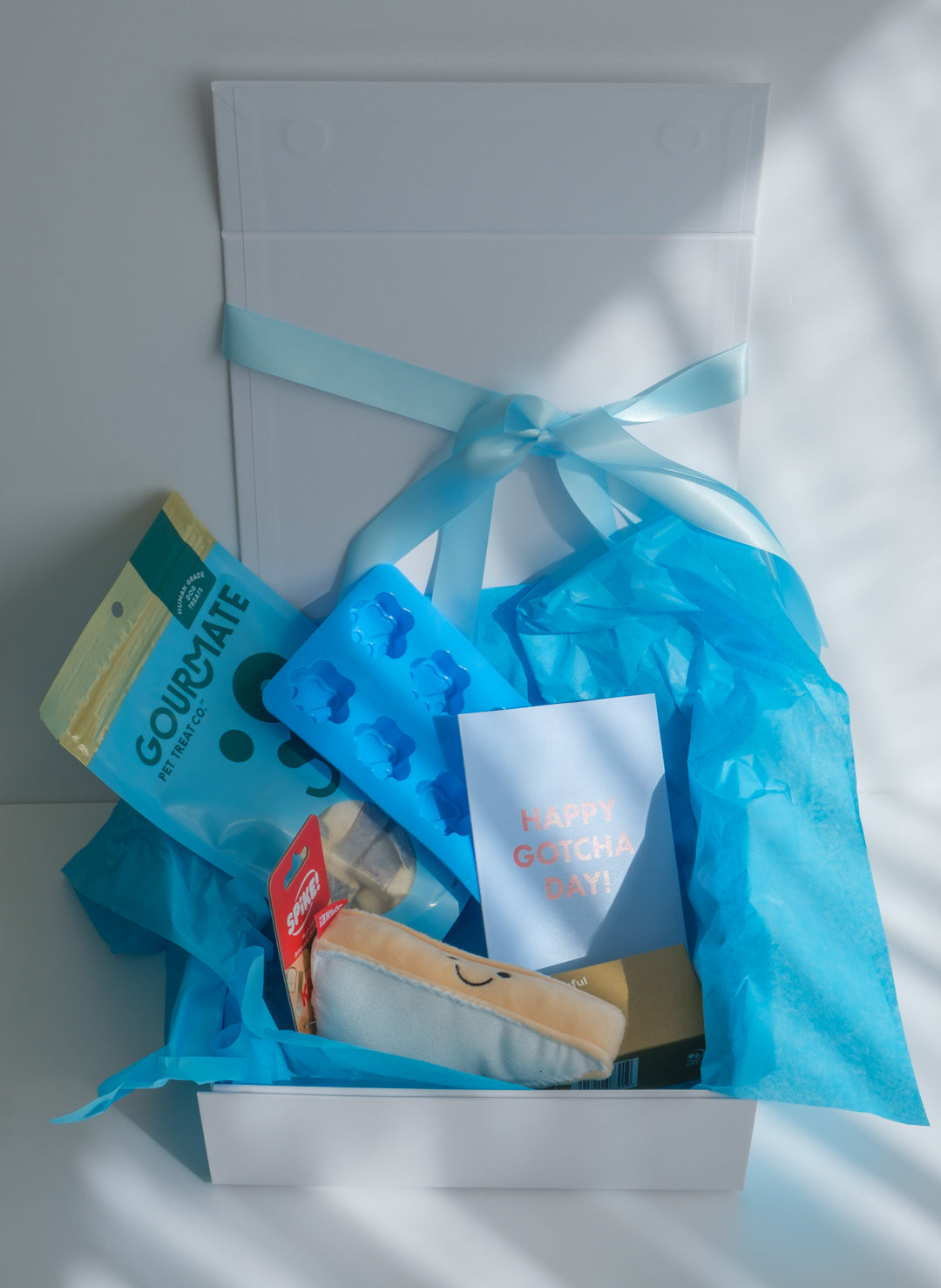 Smack Bang Collection | Medium Gotcha Box