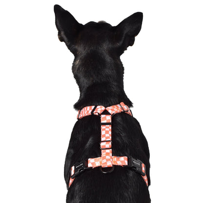 Wolves of Wellington Benji All Purpose Dog Harness 2.0 | Smack Bang
