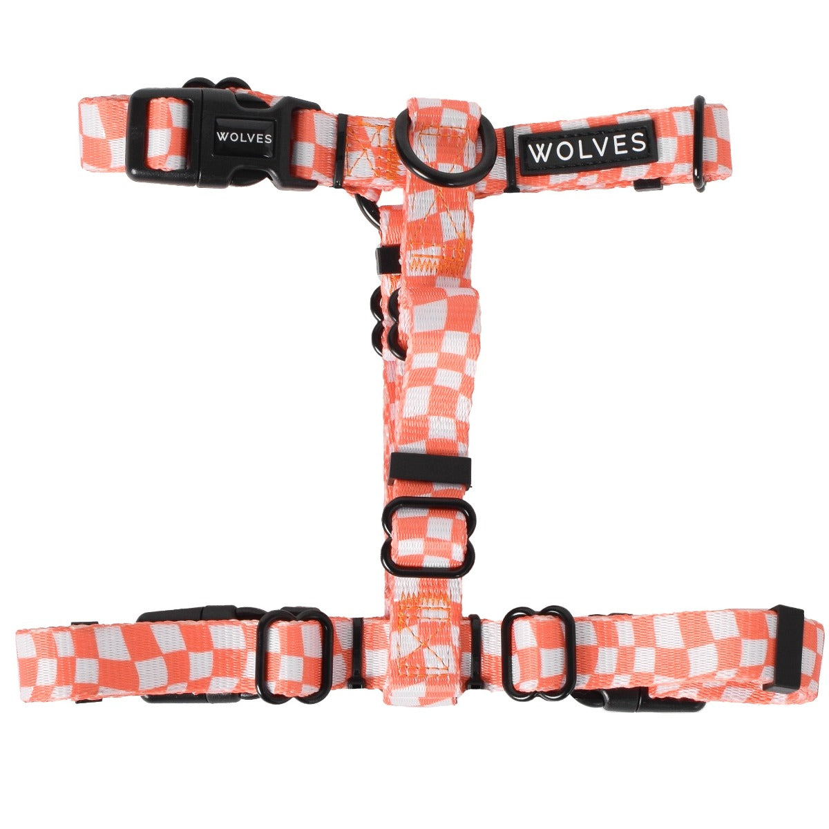 Wolves of Wellington Benji All Purpose Dog Harness 2.0 | Smack Bang