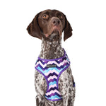 Wolves of Wellington Sulley Mesh Harness 2.0 | Smack Bang