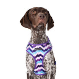 Wolves of Wellington Sulley Mesh Harness 2.0 | Smack Bang