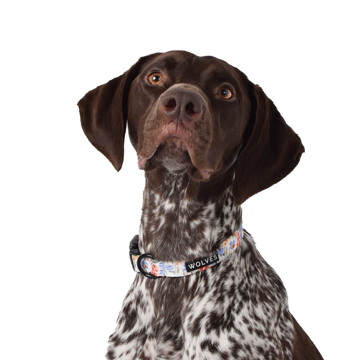 Wolves of Wellington Posy Dog Collar | Smack Bang