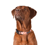Wolves of Wellington Benji Dog Collar | Smack Bang