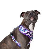 Wolves of Wellington Sulley Mesh Harness 2.0 | Smack Bang