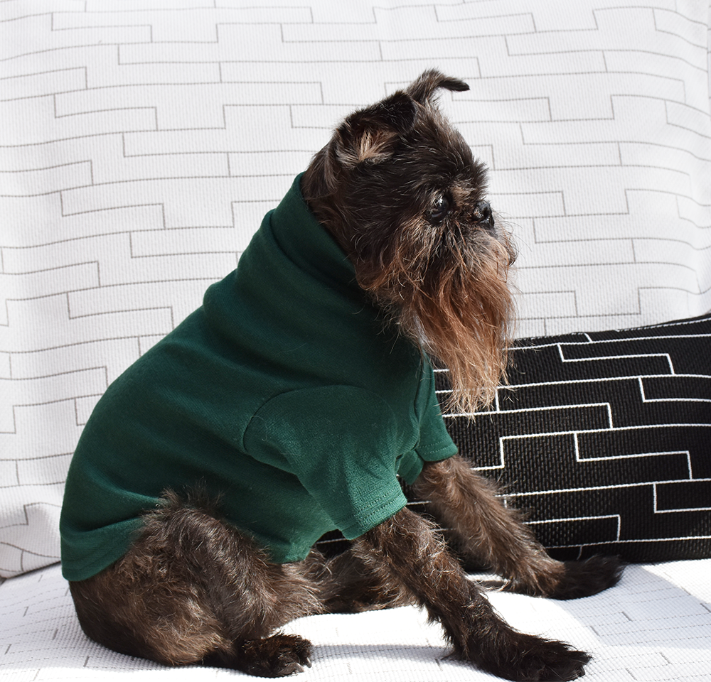 Mr Soft Top Dark Winter Green Merino Dog Tee | Smack Bang