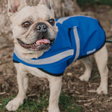 Mr Soft Top Waterproof Coat | Electric Blue