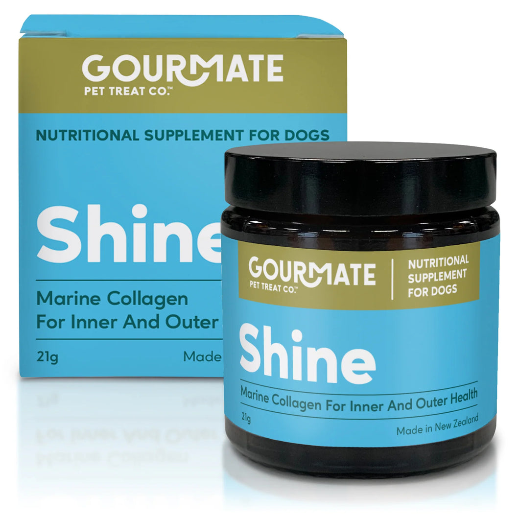 Gourmate Shine Nutritional Supplement for Dogs | Smack Bang