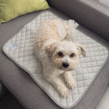 Your Best Buddy | Every Buddy Mat