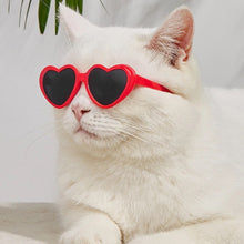 Cat Red Heart Sunglasses | Smack Bang