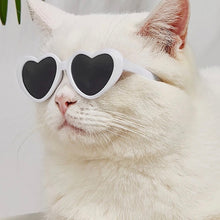 Cat White Heart Sunglasses | Smack Bang